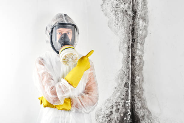 Best Commercial Mold Inspection  in Westwood, KS