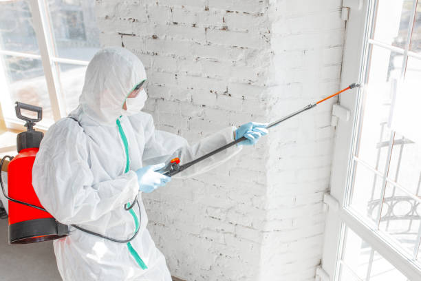 Best Mold Remediation for Vacation Homes  in Westwood, KS