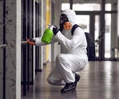 Best Environmental Consulting for Mold Prevention  in Westwood, KS